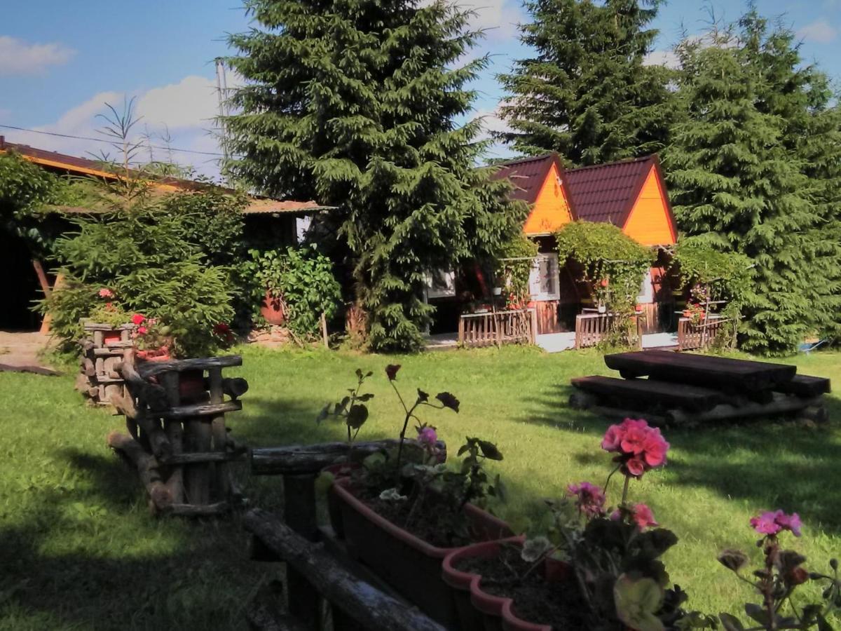 Casa Paltin Vila Si Cabane Poiana Stampei Экстерьер фото