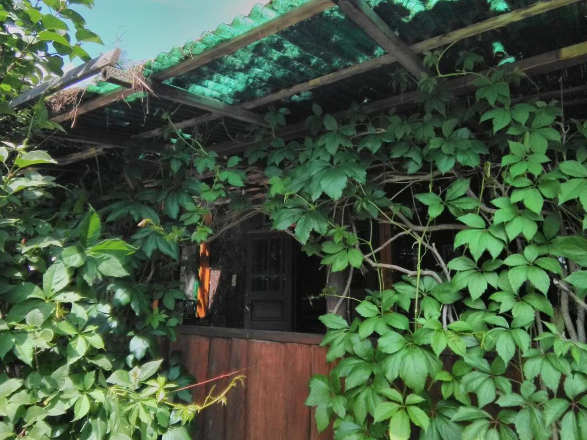 Casa Paltin Vila Si Cabane Poiana Stampei Экстерьер фото