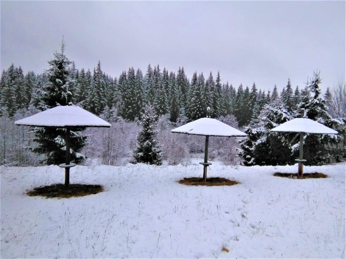 Casa Paltin Vila Si Cabane Poiana Stampei Экстерьер фото