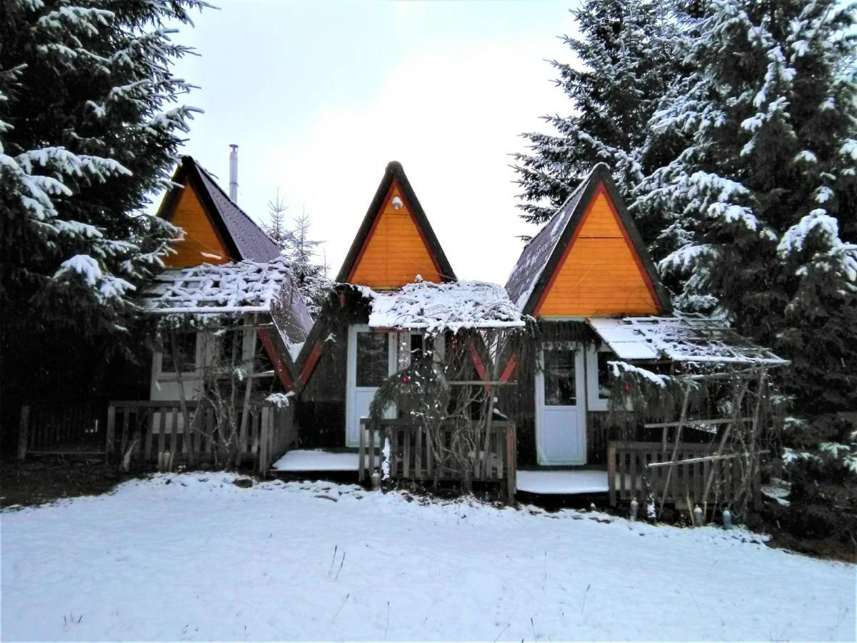 Casa Paltin Vila Si Cabane Poiana Stampei Экстерьер фото