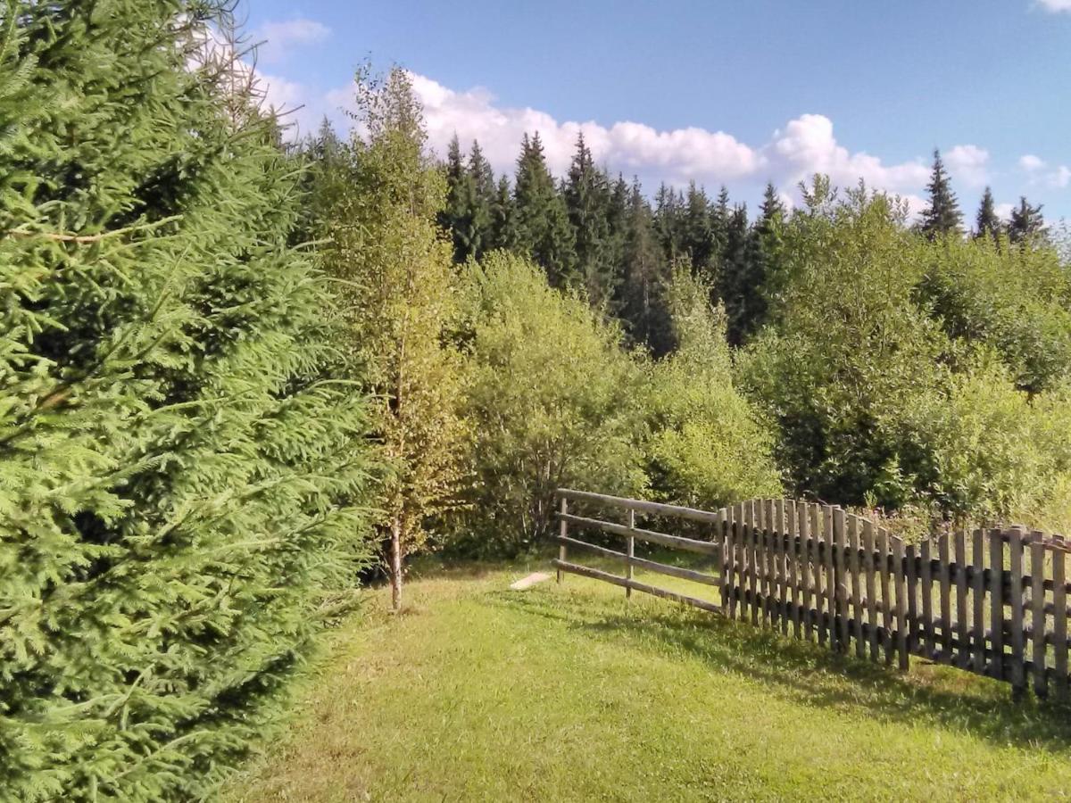 Casa Paltin Vila Si Cabane Poiana Stampei Экстерьер фото
